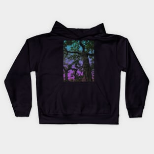 Moon Valley Kids Hoodie